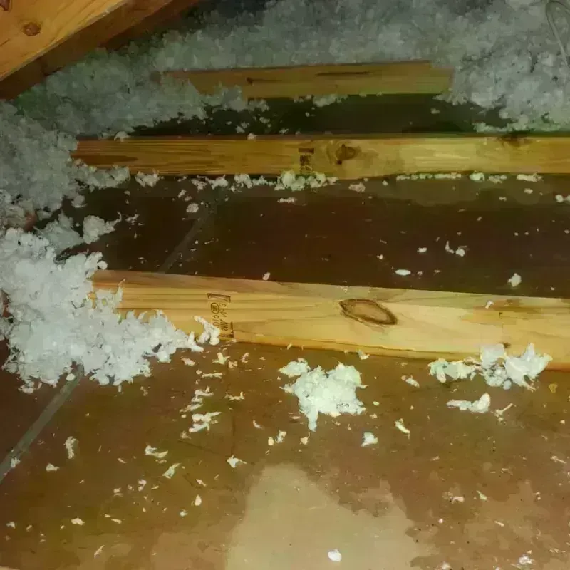 Attic Water Damage in Louisville, MS