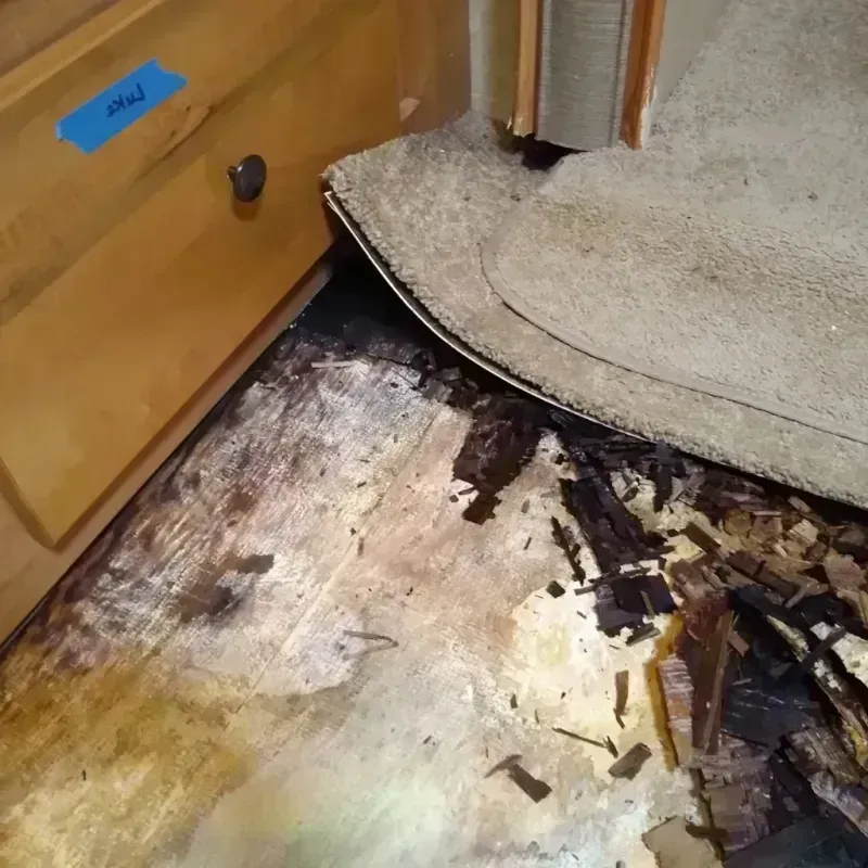 Wood Floor Water Damage in Louisville, MS